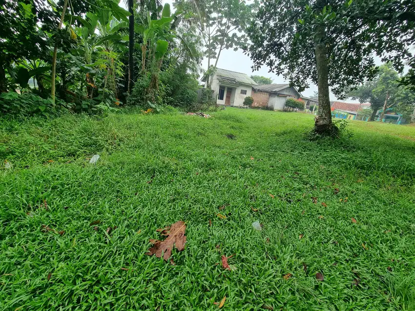 Dijual Cepat Tanah Luas Kampung Cicayur Pinggir Jalan Dekat stasiun