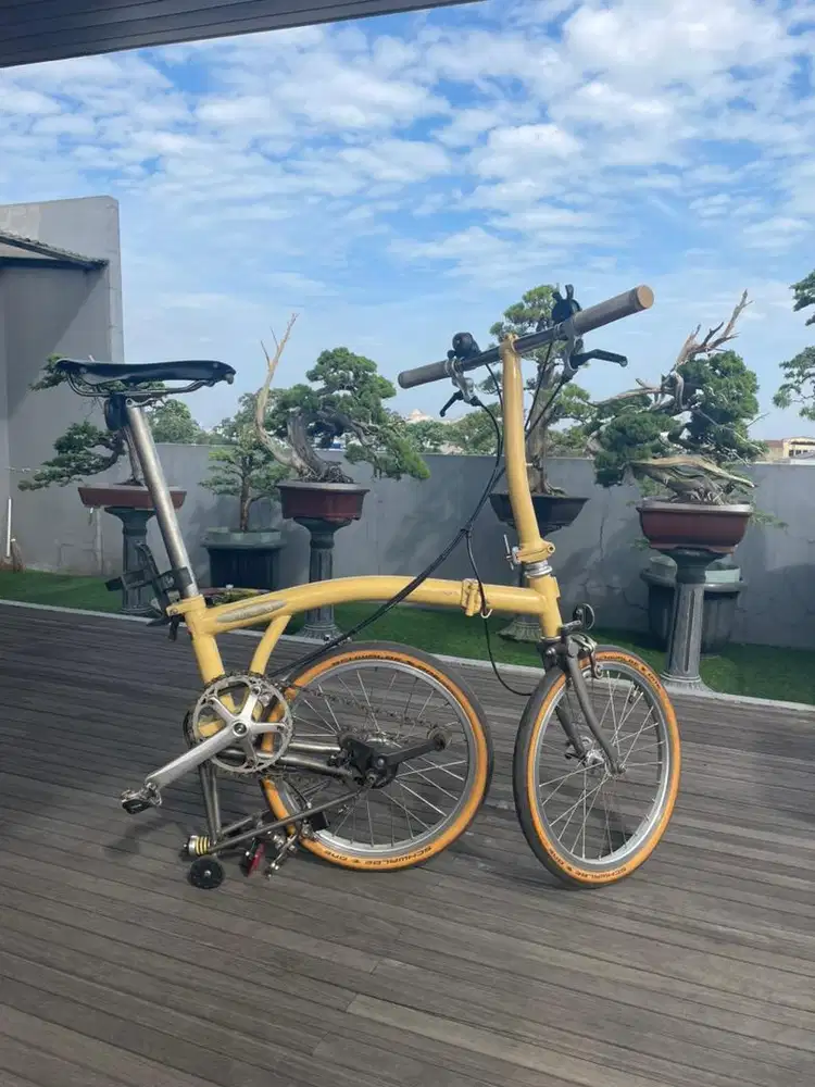 Brompton desert sand