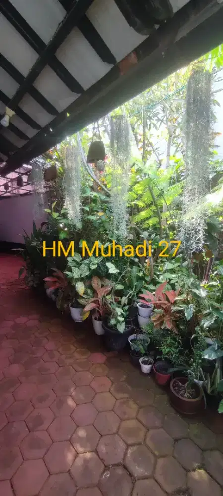 Hidden gems, Kost putri, kota bandung