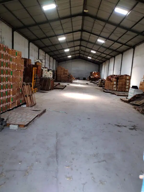 MARGOMULYO PERMAI SIAP HUNI DKT KALIANAK, DKT TOL