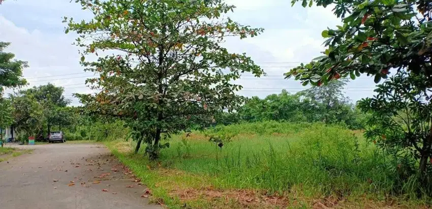 Gudang di cikupa Tangerang 2,6Hektar SHM lokasi di depan bagus