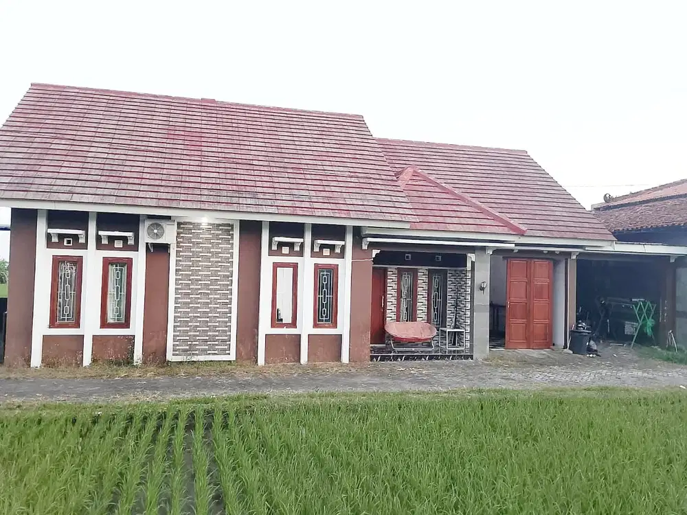 Rumah view sawah area Condongcatur
