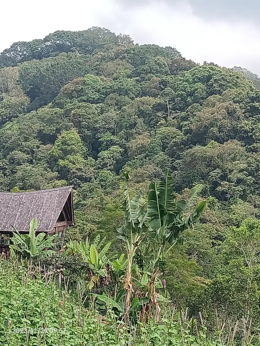 Tanah di Bedugul Bali dekat danau view jungle dan lembah