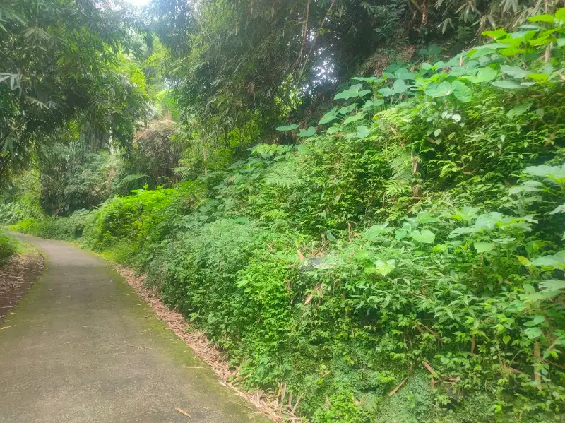 Tanah Perkarangan luas 685m² di Kawasan wisata Kemuning