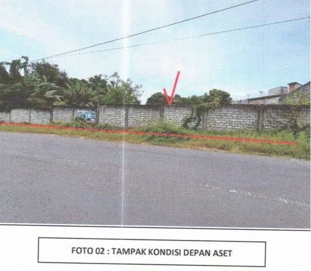 TANAH RAYA BUNGAH DUKUN GRESIK 4938 ASSET BANK, CASH ONLY