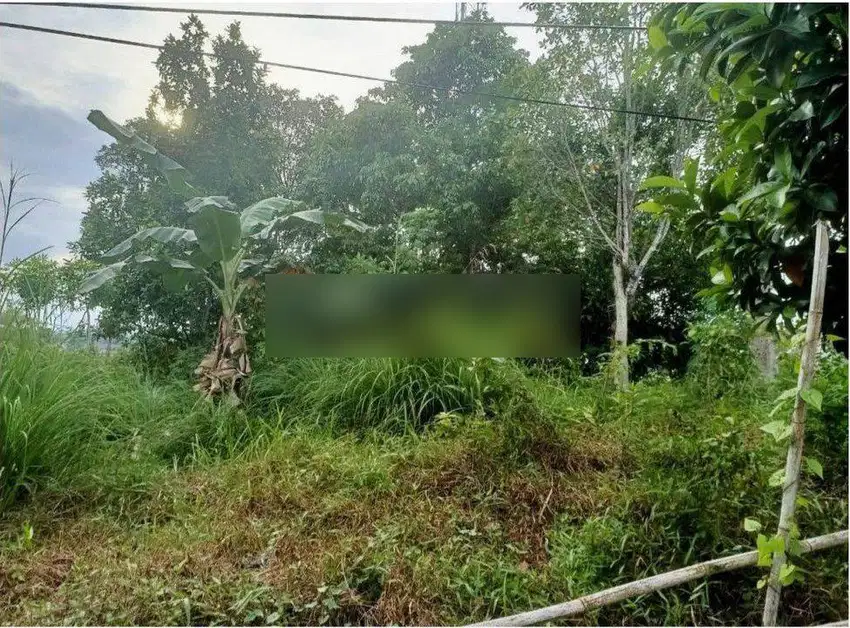 TANAH/LAHAN PINGGIR JALAN POROS MT HARYONO BELAKANG DENSO