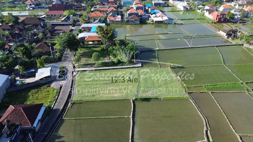 RICE FIELD VIEW LAND FOR LEASEHOLD SALE IN BUDUK LN035