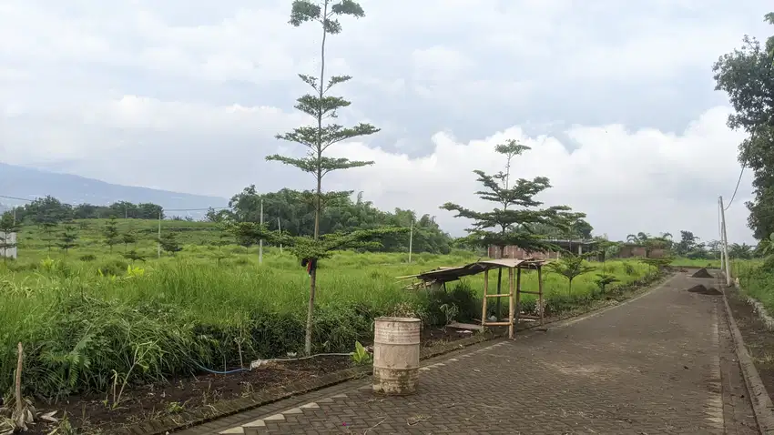 Tanah Potensial untuk Kost Mahasiswa, Lokasi Dau Dekat Kampus UIN 3