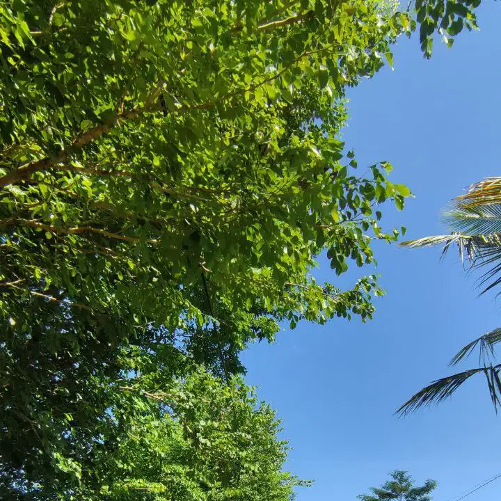Tanah pekarangan 21.015 m2 pinggir jln raya Jumapolo Wonogiri