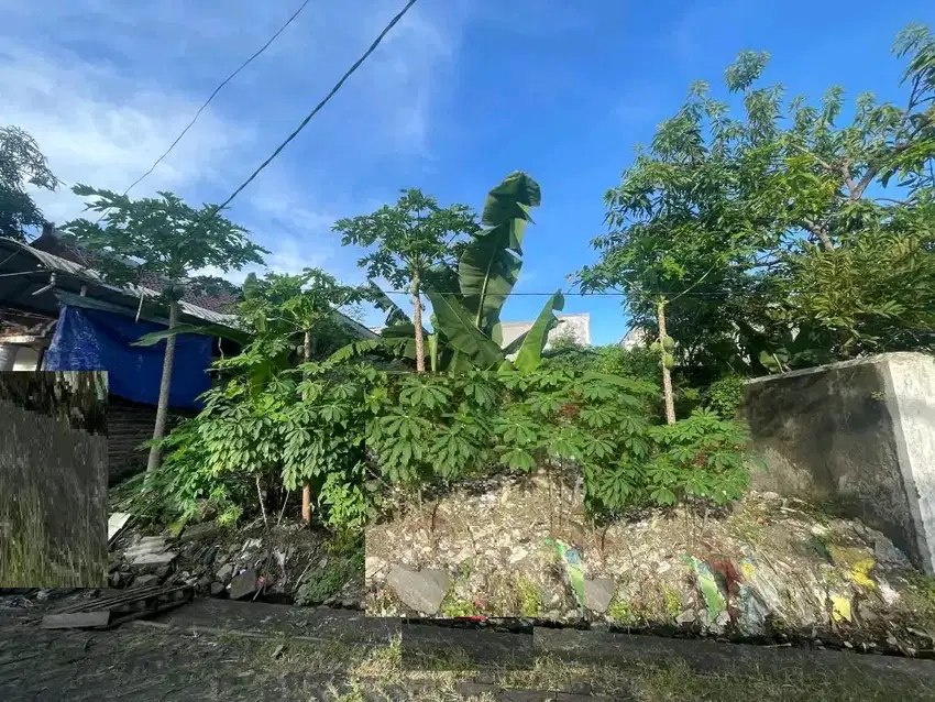 DIJUAL TANAH WONOREJO SELATAN RUNGKUT SURABAYA RON.A1987