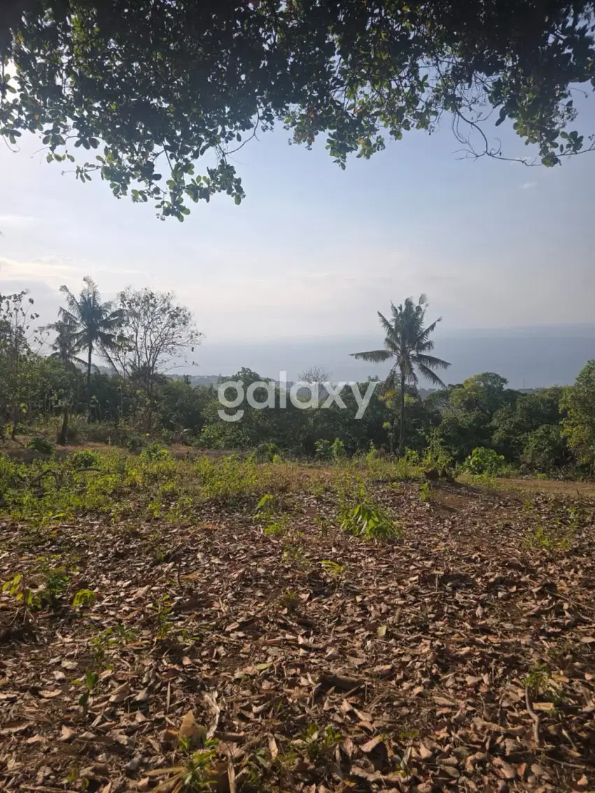 Dijual Tanah 20 are di Lovina, Buleleng
