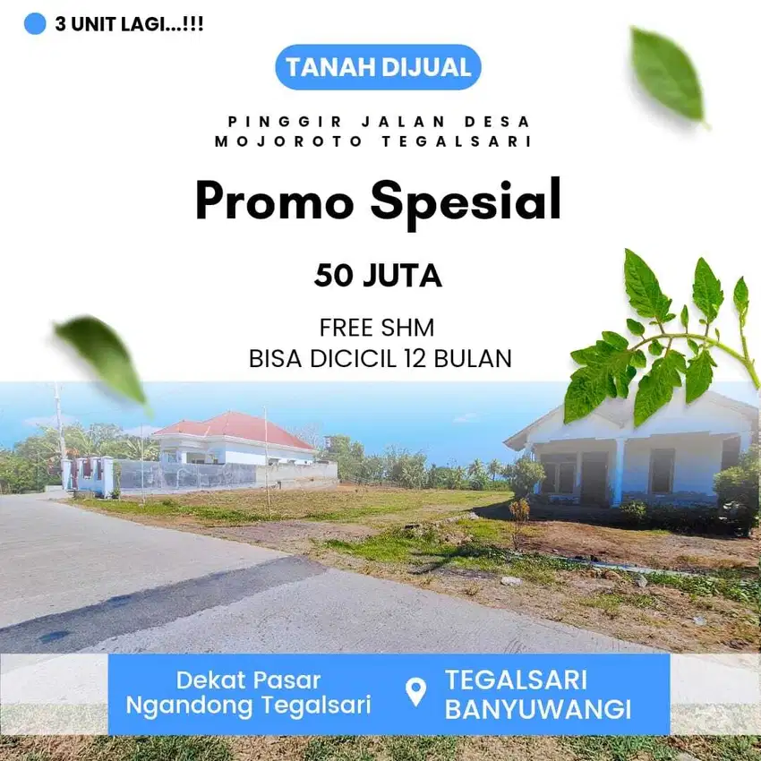 Jual Tanah Pinggir Jalan Banyuwangi Tegalsari