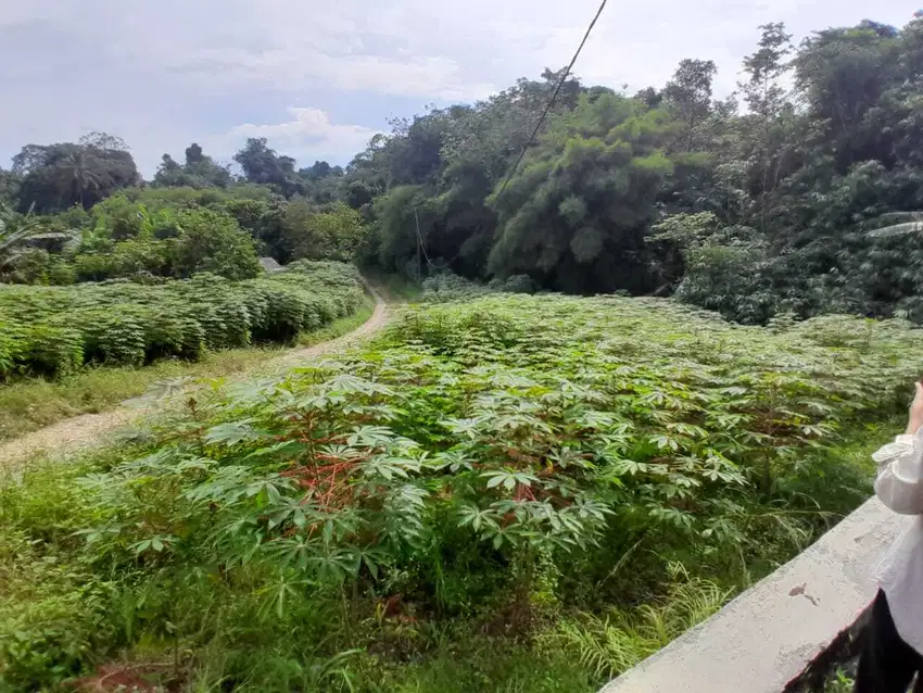 Promo Kavling Murah Bogor Barat – Lokasi Dekat IPB & Jalan Utama,