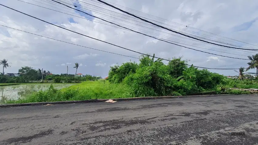 Land 4.58 Are For Rent area of Seseh Beach, Munggu area