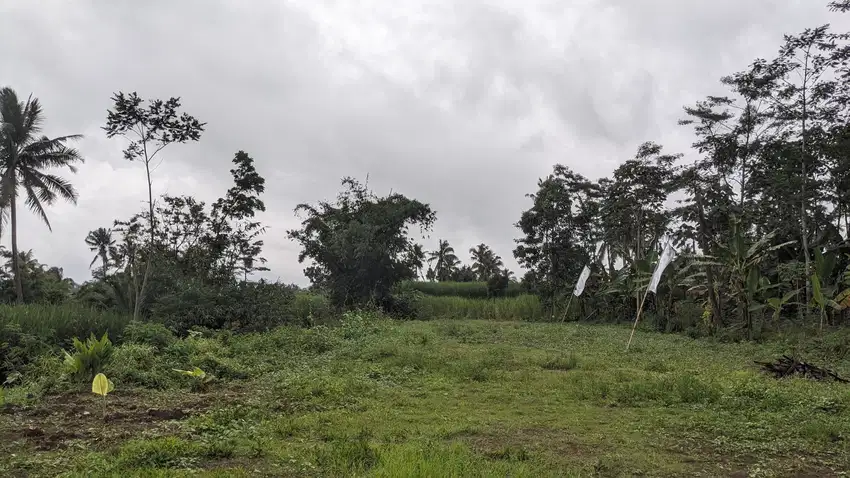 TANAH PINGGIR JALAN RAYA KAWASAN PEMUKIMAN SIAP BANGUN SHM