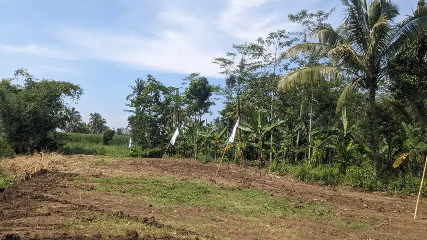 TANAH AKSES JALAN RAYA HARGA 1 JUTAAN SIAP BANGUN MURAH