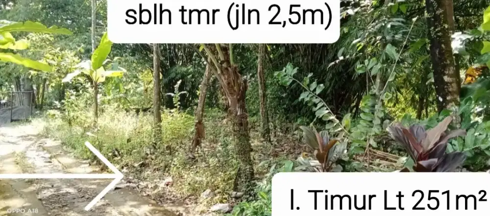 Tanah Darat 2 bidang SHM l. Timur Lt 251 ll. Barat Lt 437 dilalui Truk