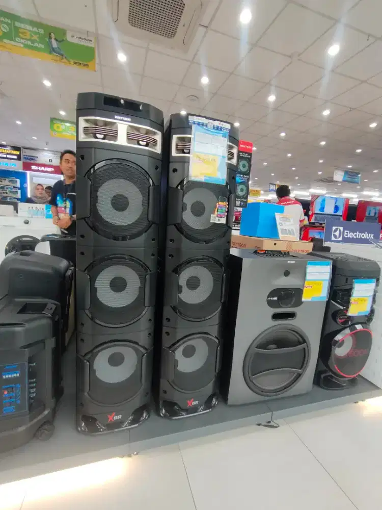 Speaker Polytron Pass 10DF38