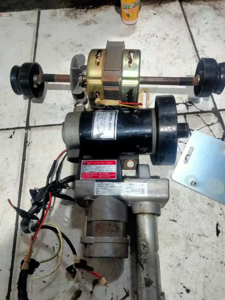 Dinamo treadmill normal