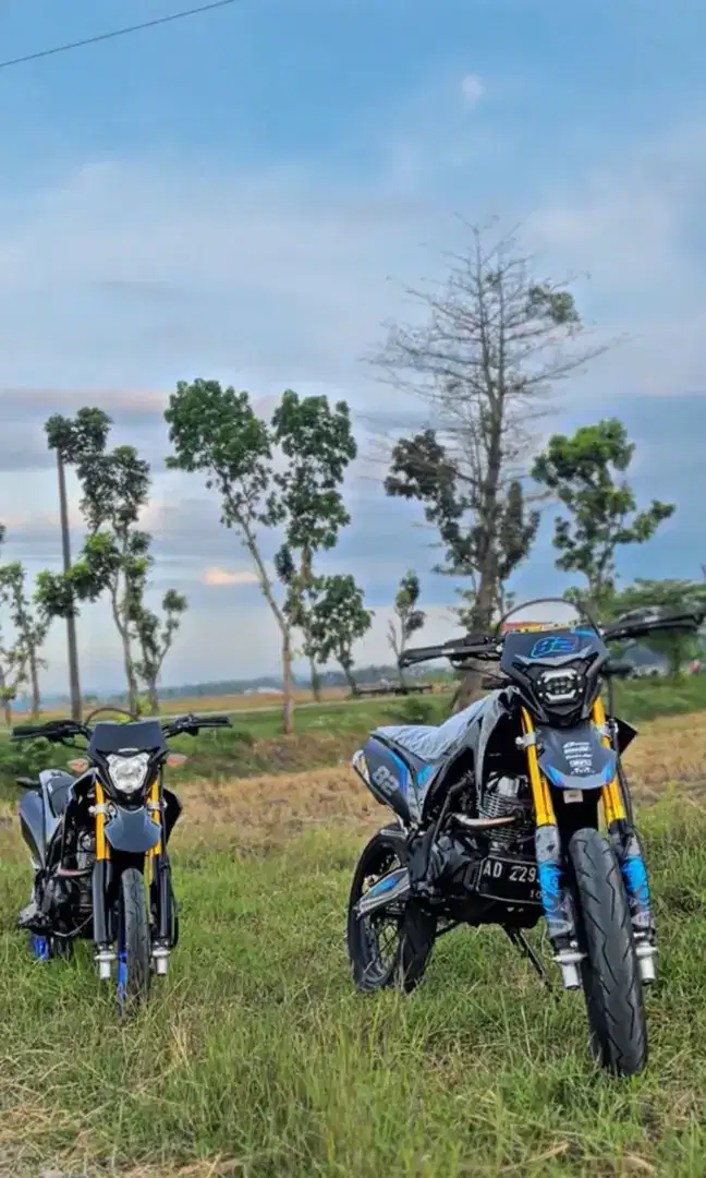 CRF Basic MP MONO & VERZA