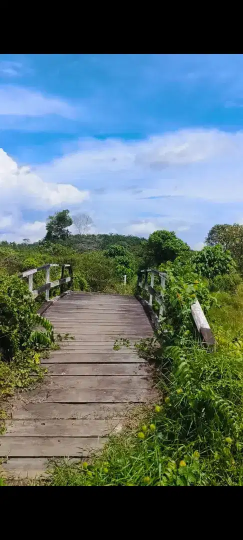 DIJUAL CEPAT TANAH GIRIPURWA IKN PENAJAM