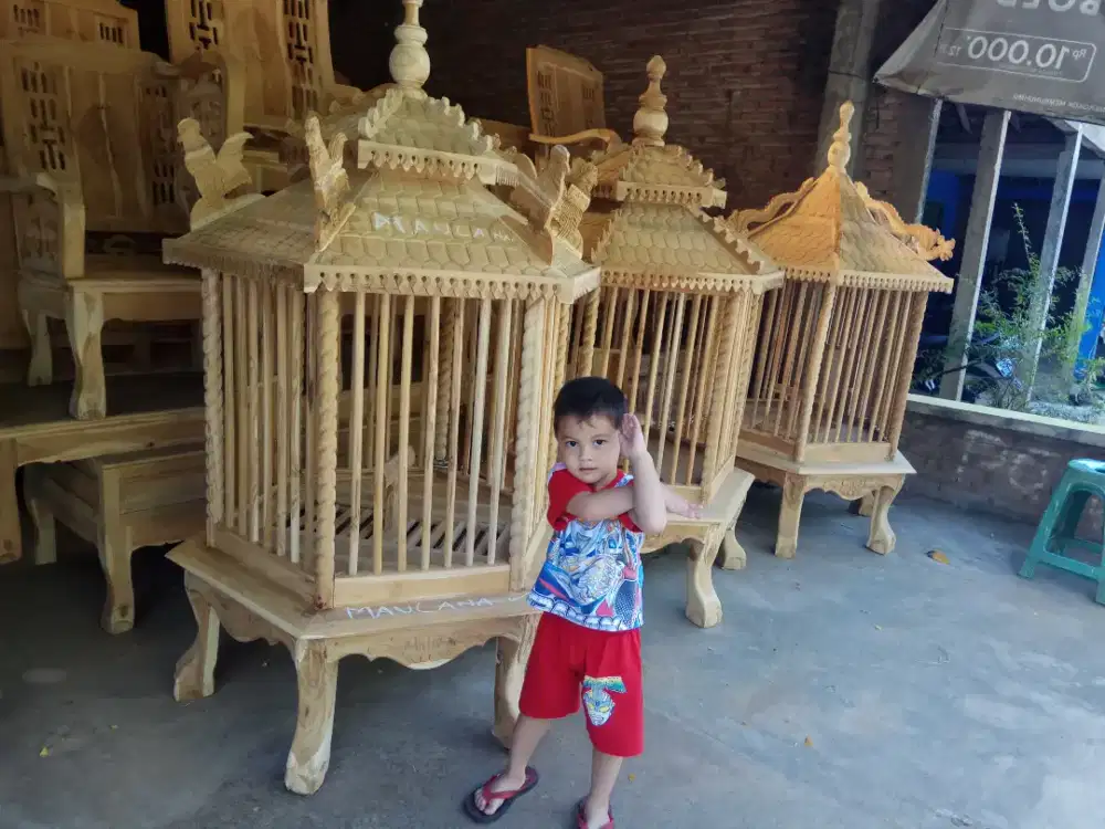Kandang ayam bangkok pelung serama sangkar burung Beo hias