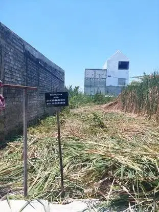Tanah Sememi 6x18