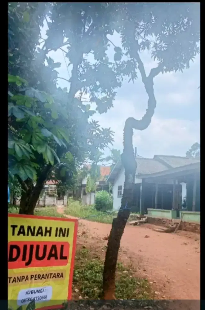 Tanah dijual murah