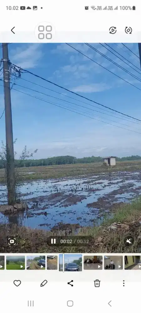 Tanah sawah luas 5 HA lebih sangat produktif