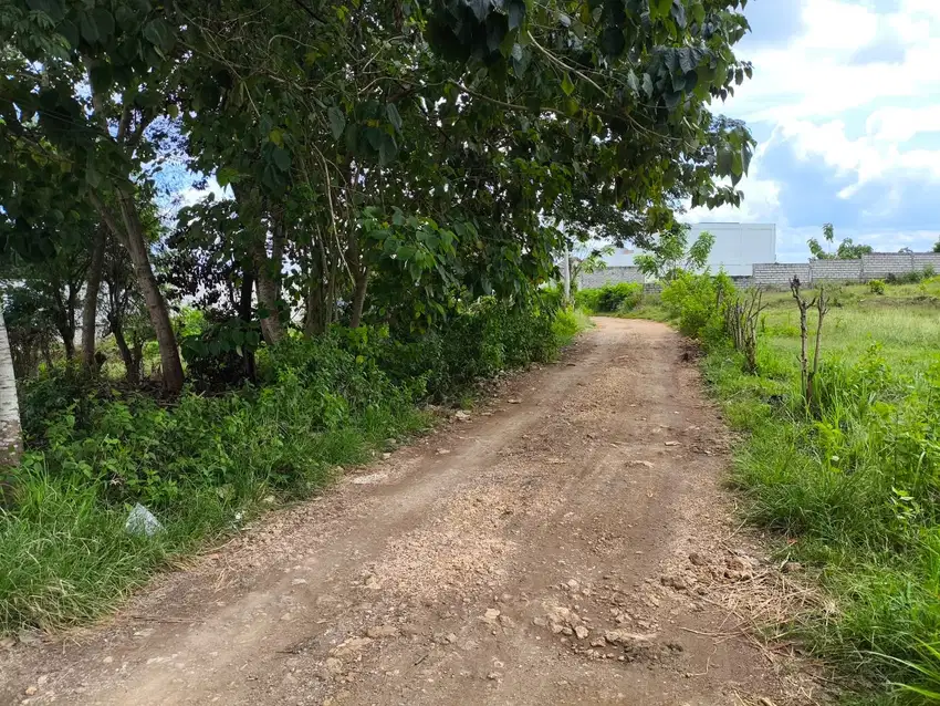 Tanah sewa Cemongkak Bali dekat dengan bingin beach