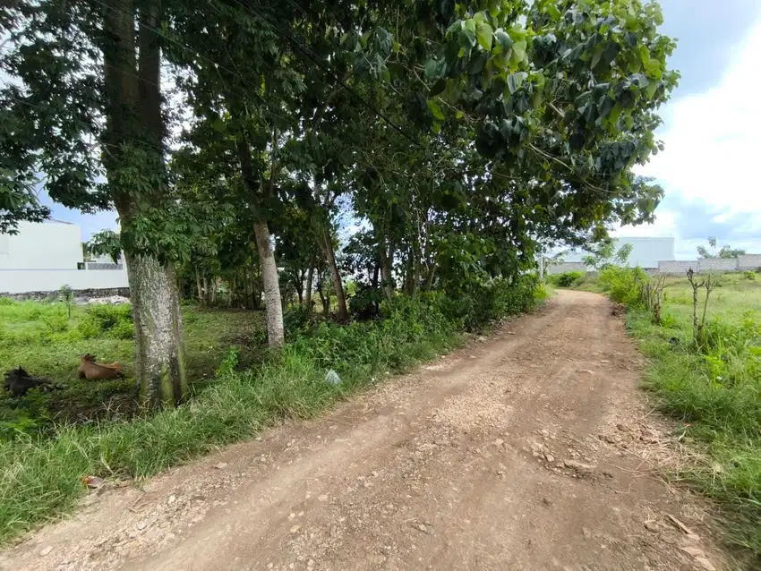 Tanah sewa didekat Pantai Cemongkak, Pecatu