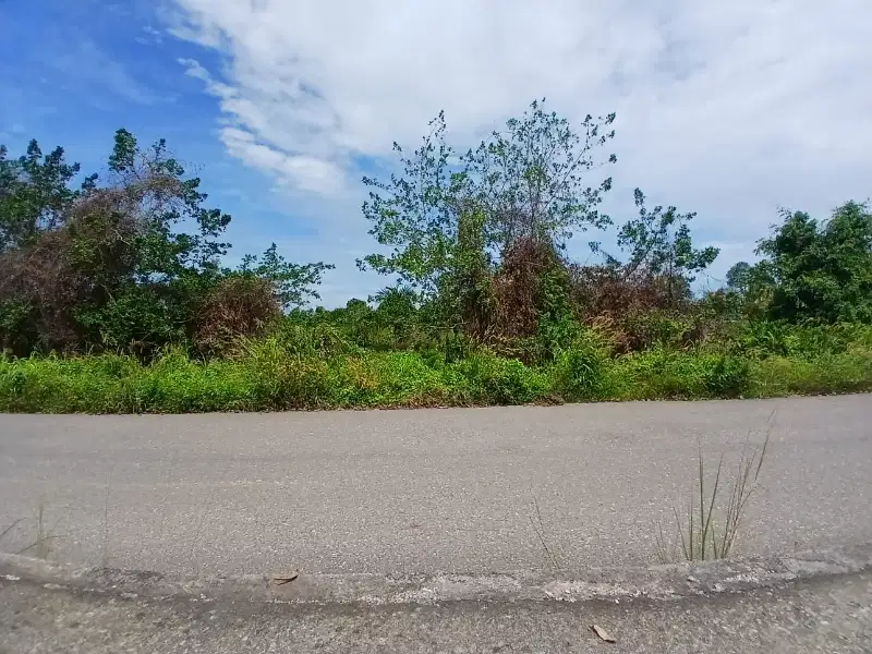 Jual Tanah di Kab.Sorong Jln.Kontener.1,5 Hektar