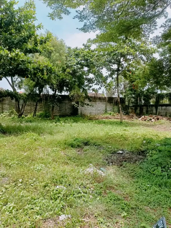 Dijual Tanah Premium di Sunset Road. LT 4,45are. Harga 1,5 M/are Nego
