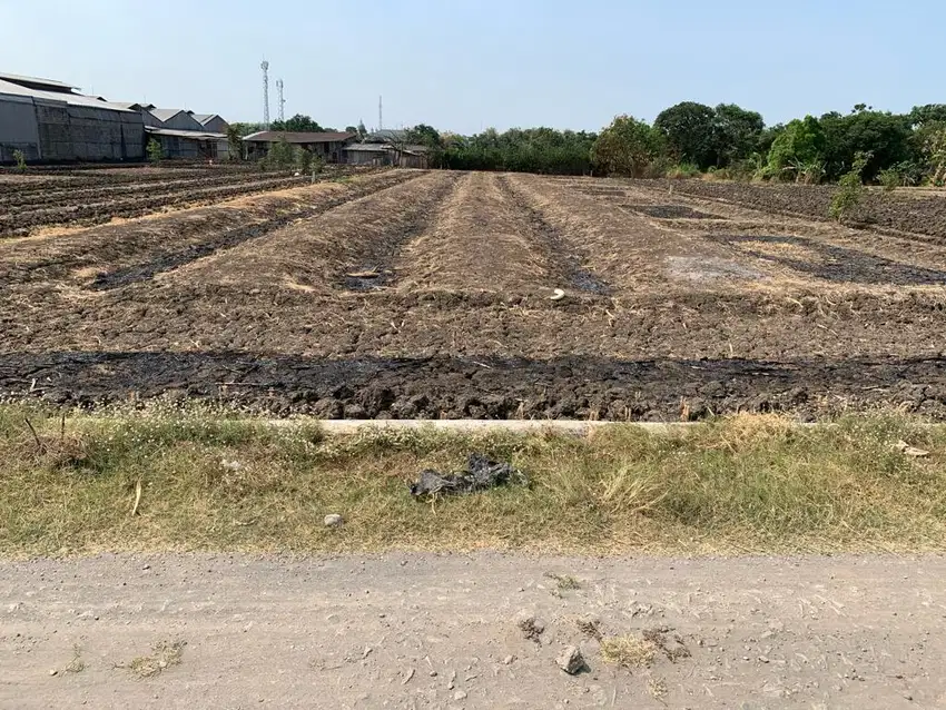 Tanah + Ada Gudang Raya Domas Menganti Gresik, 2 SHM