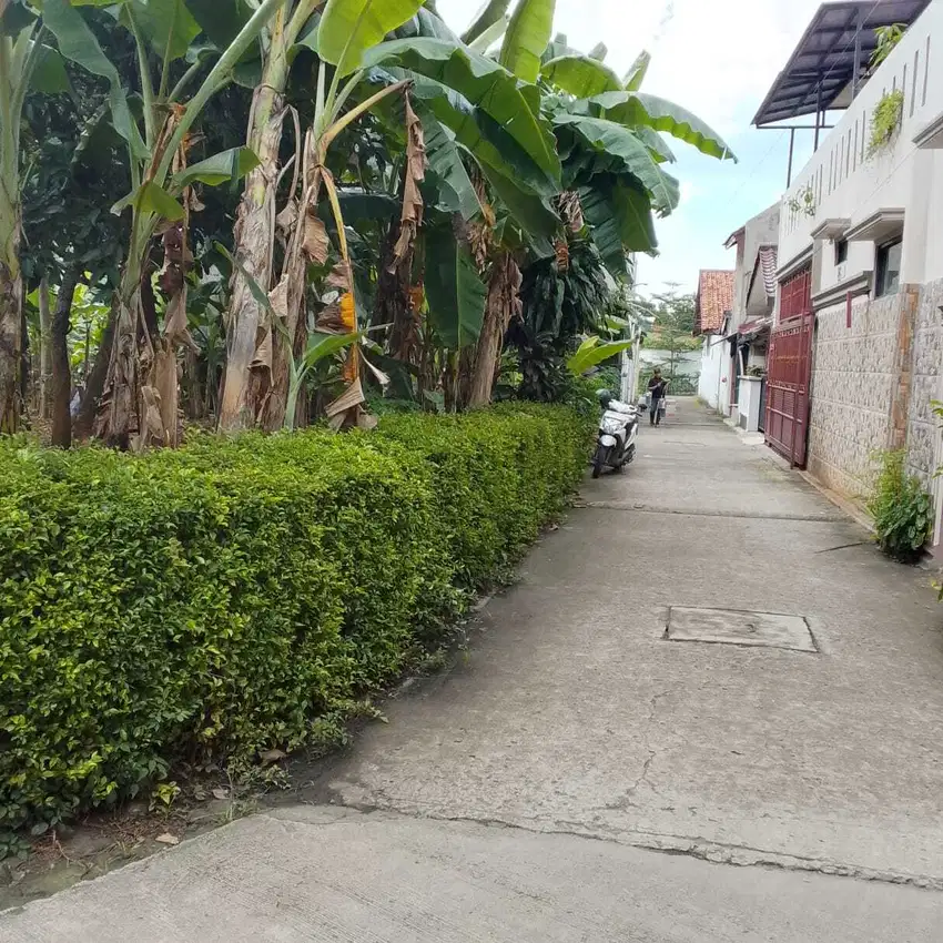 Tanah didaerah gandul cocok untuk cluster, hanya 500m dari pintu Tol