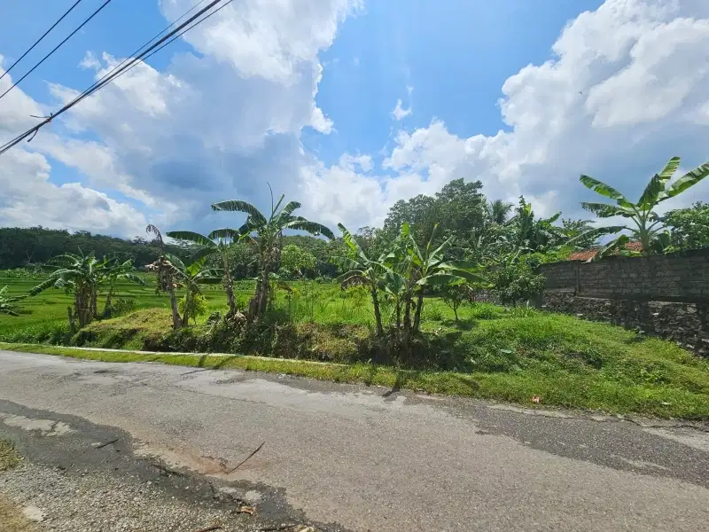 Di jual tanah Kebumen