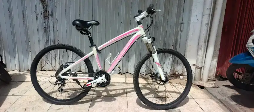 MTB Polygon Cleo