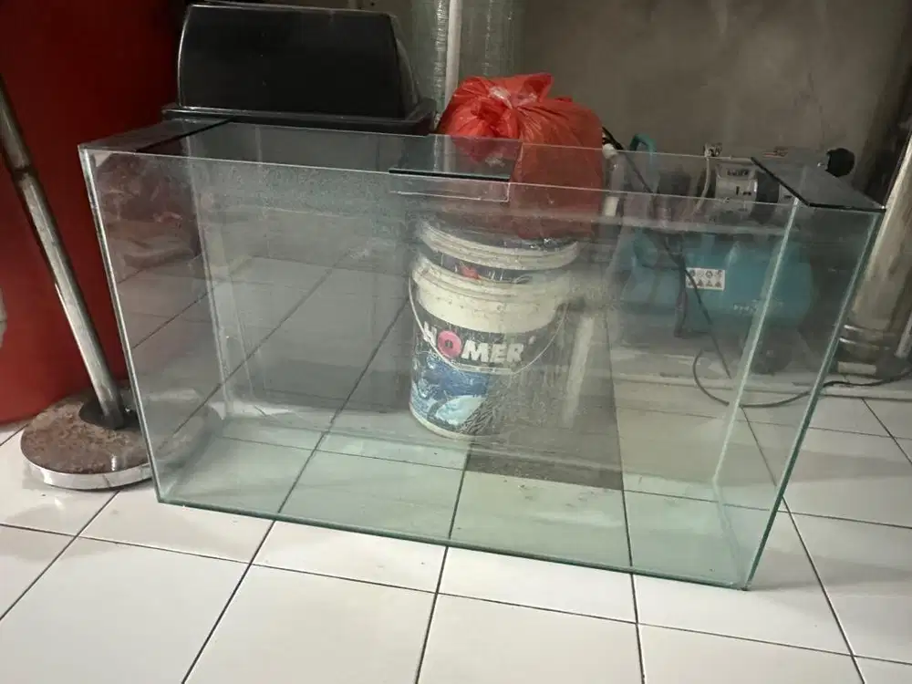 Akuarium ikan cantik