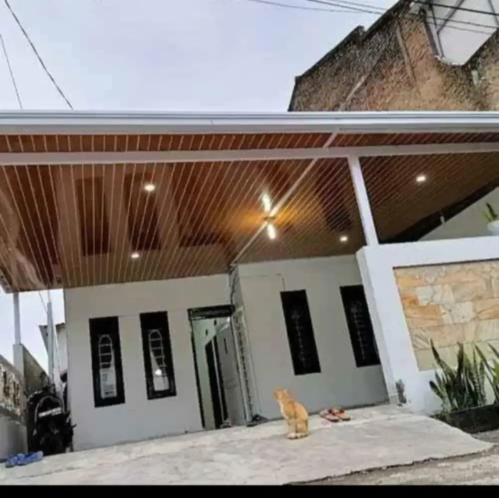 Canopy alderon + plafon PVC zfn 40