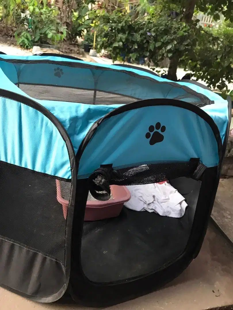 Kandang kucing lipat