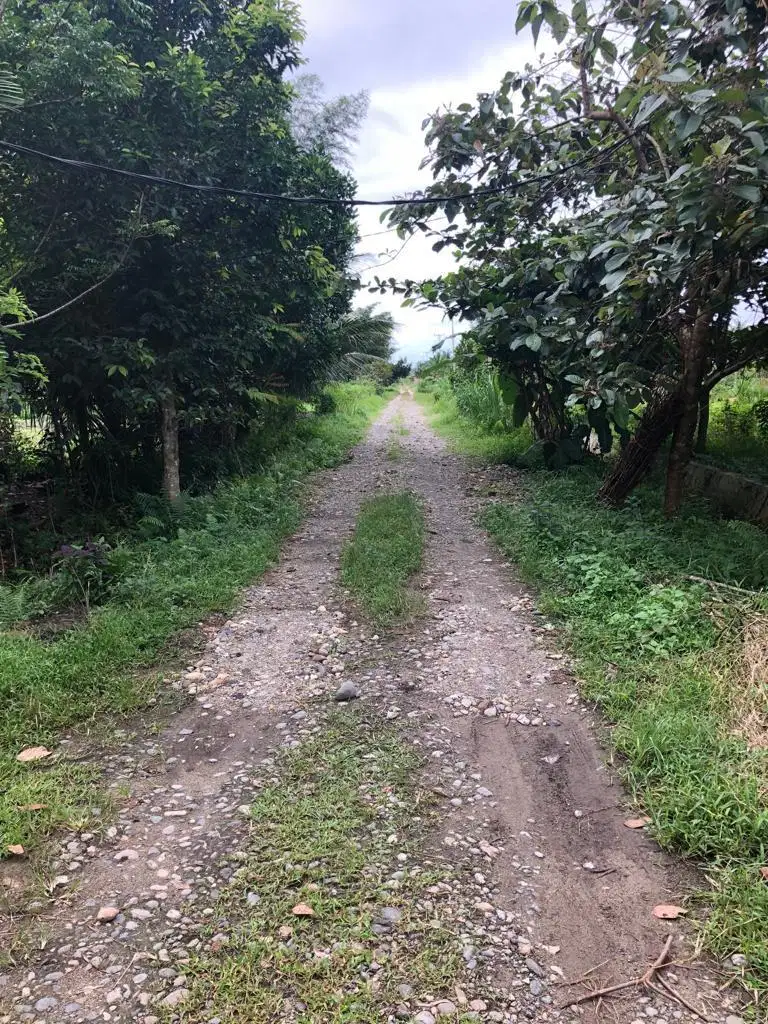 Dijual tanah perumahan