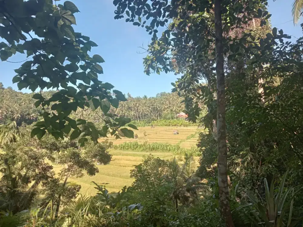 Dijual tanah pribadi dekat sungai bukit catu manggis karangasem bali