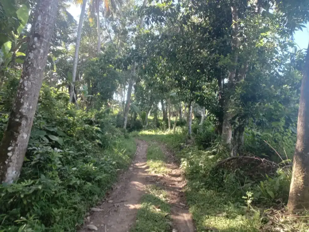 Dijual tanah pribadi dekat sungai dan air terjun