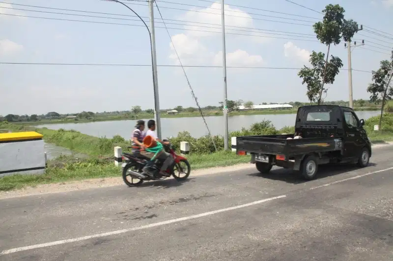 Tambak aktif udang,bandeng,nila,mujaer di Gresik