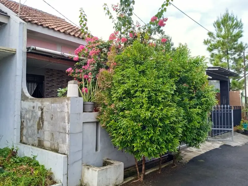jual rumah dekat  bukit cimanggu city dan stasiun cilebut.