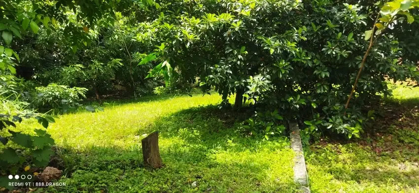 Dijual Rumah Hook Dekat Stadion Dan Tol Lokasi Tropikana Jababeka