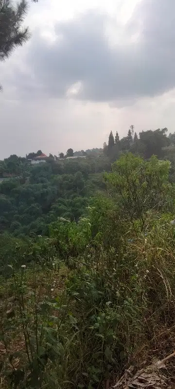 Jual Murah Tanah Villa View Keren  Punclut Dago