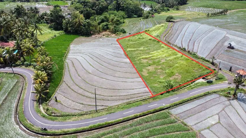dijual tanah komersil dekat pantai abian kapas selemadeg