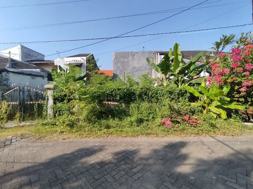 6,1 jutaan/m2 ‼️ Jual Tanah Kavling Rungkut Menanggal