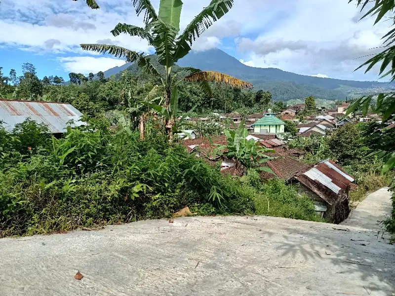 Dijual tanah cocok buat vila ditawangmangu